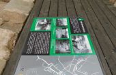 DSCN5020.JPG