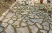 DSCN4830.JPG