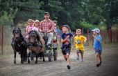 IMG_2086.jpg