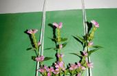 DSCN6173.JPG