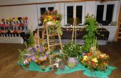 DSCN6170.JPG