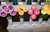 DSCN6210.JPG