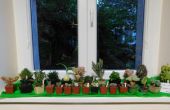 DSCN6193.JPG