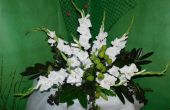 DSCN6172.JPG