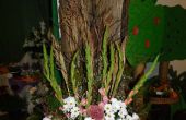 DSCN6174.JPG