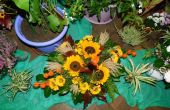 DSCN6219.JPG