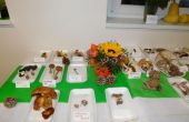 DSCN6195.JPG