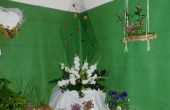 DSCN6166.JPG