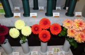 DSCN6212.JPG