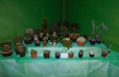 DSCN6168.JPG