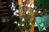DSCN6169.JPG