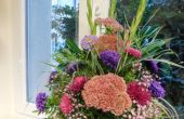DSCN6184.JPG