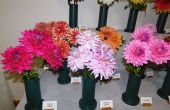 DSCN6209.JPG