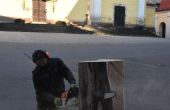 DSC_0365.JPG