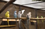 DSC_0172.JPG