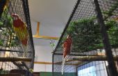 DSC_0124.JPG