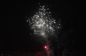 DSC_0193.JPG