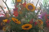 IMG_20220916_134857.jpg