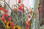 IMG_20220916_134444.jpg
