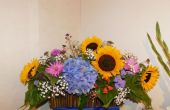 DSCN7877.JPG