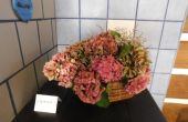 DSCN7927.JPG