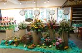 DSCN7920.JPG