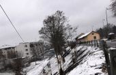 DSC_0666.JPG