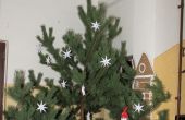IMG_8646.JPG