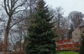 IMG20221122094621.jpg