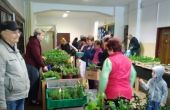 Burza rostlin 05/23