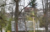 DSC_0729.JPG
