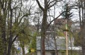 DSC_0730.JPG