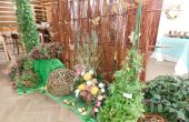DSCN8490.JPG