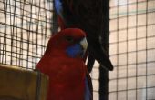 DSC_1325.JPG