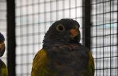 DSC_1341.JPG