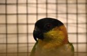 DSC_1338.JPG