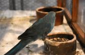DSC_1371.JPG