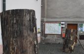 DSC_1376.JPG