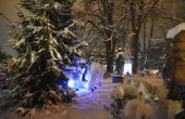 DSC_0588.JPG