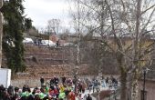 DSC_0170.JPG