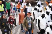 DSC_0176.JPG