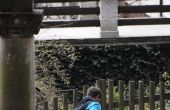 DSC_0170.JPG