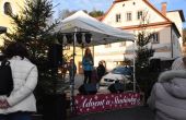 Adventní jarmark s rozsvícením vánočního stromu a čertovským rejem 12/2024