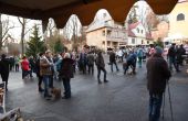 DSC_0489.JPG