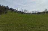 IMG_20250414_110433.jpg