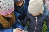 IMG_20250407_104602.jpg