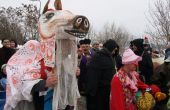img_9214.jpg