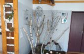IMG-20260405-WA0012.jpg