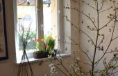 DSC_0652.JPG