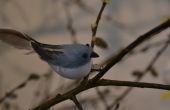 DSC_0644.JPG